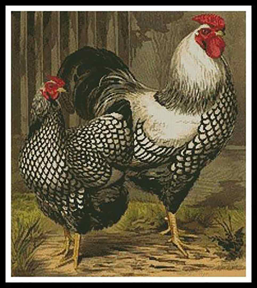 A stitched preview of the counted cross stitch pattern Wyandotte Chickens by Artecy Cross Stitch