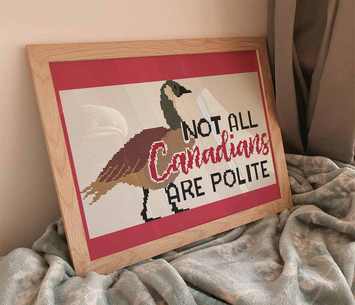 Stitched and framed preview of Not All Canadians Counted Cross Stitch Pattern and Kit