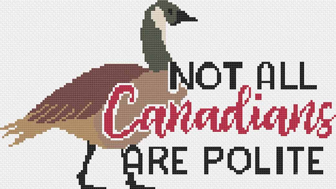 Stitched preview of Not All Canadians Counted Cross Stitch Pattern and Kit