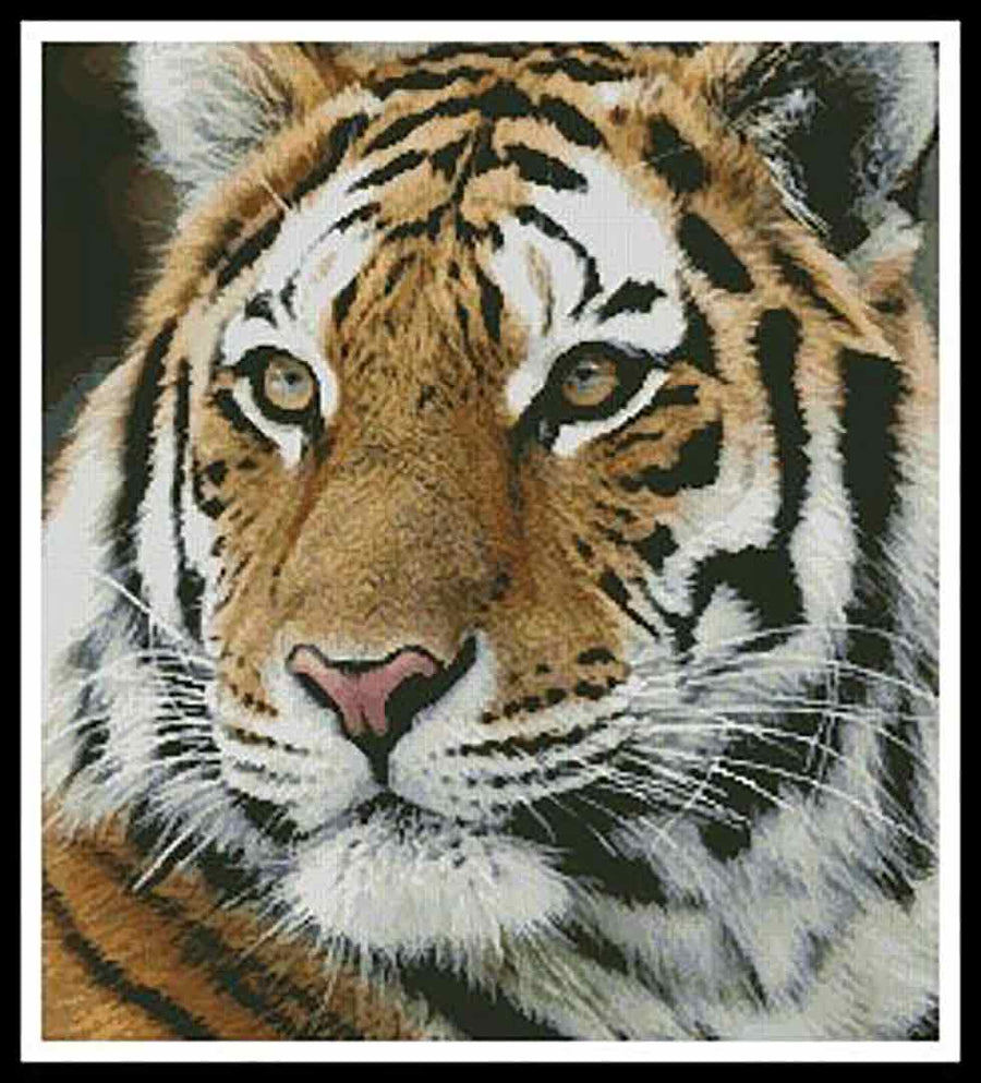A stitched preview of the counted cross stitch pattern Siberian Tiger by Artecy Cross Stitch