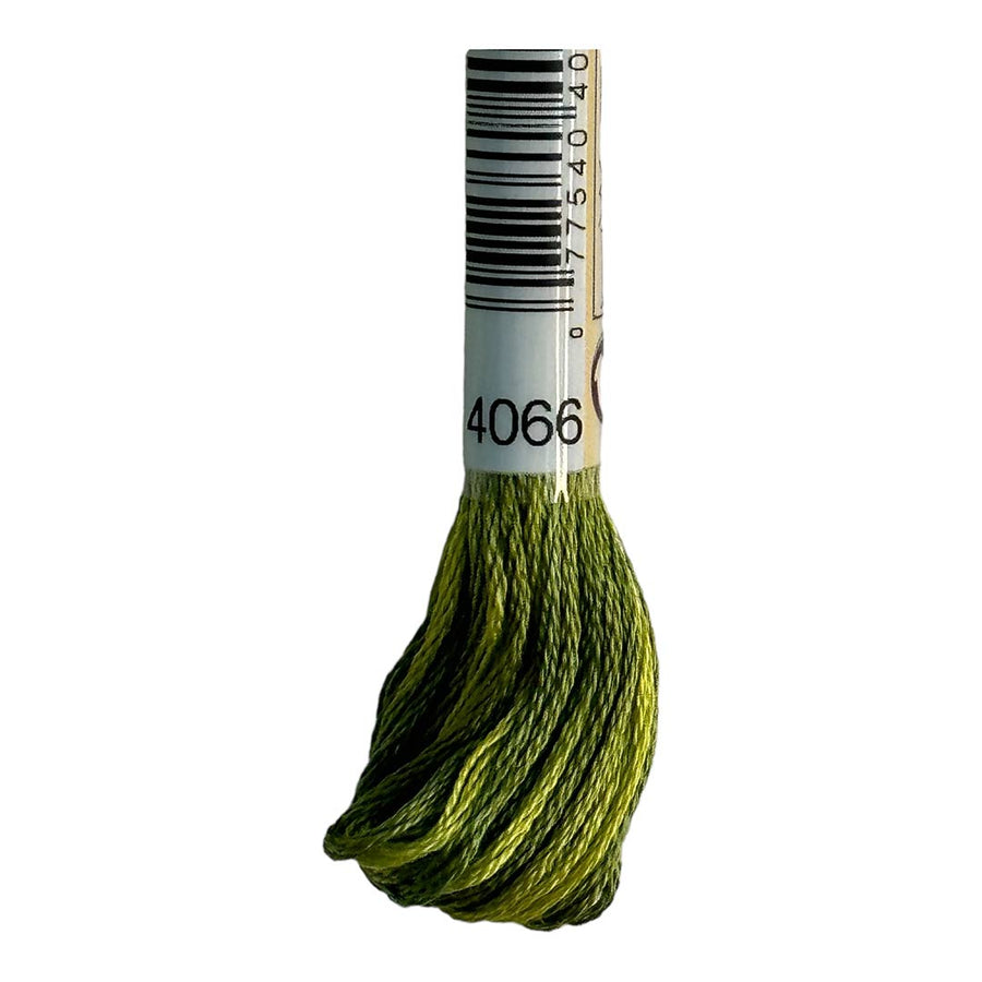 DMC 6-Strand Cotton Variations Floss 4066