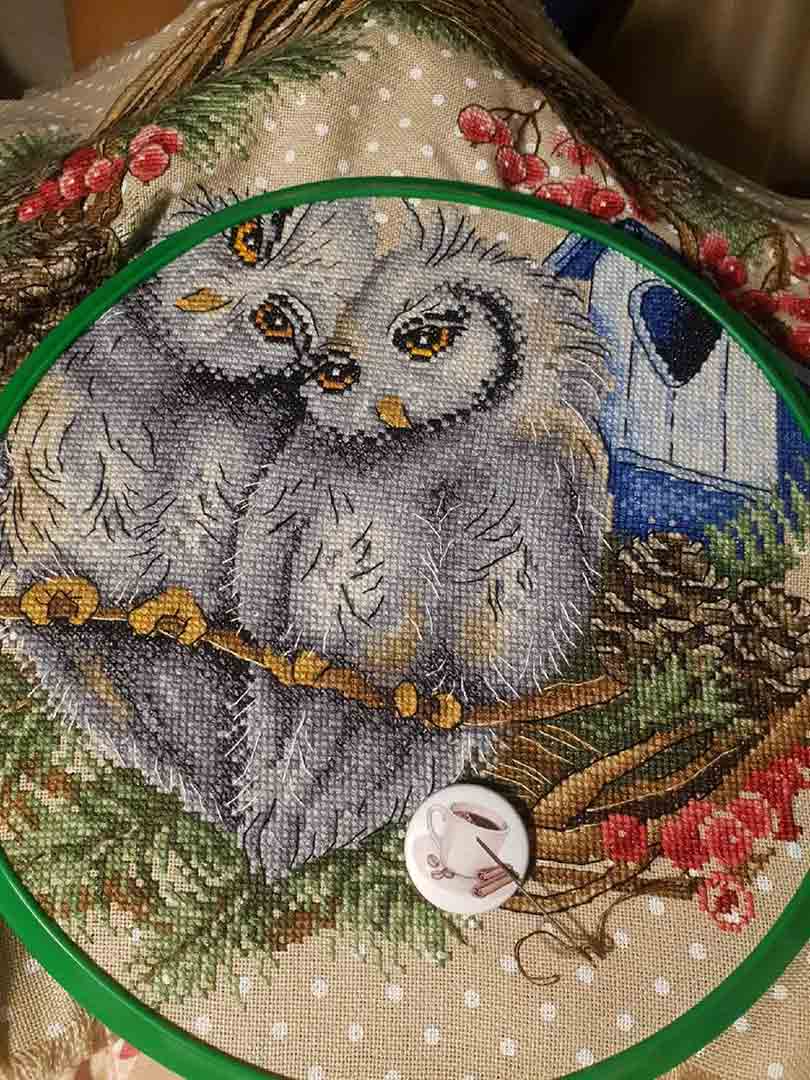 Stitched preview of Owl Devotion Counted Cross Stitch Kit